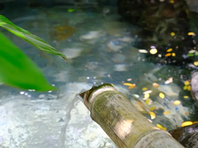Bulle d'eau Domaine des Bulles Vauclin Martinique