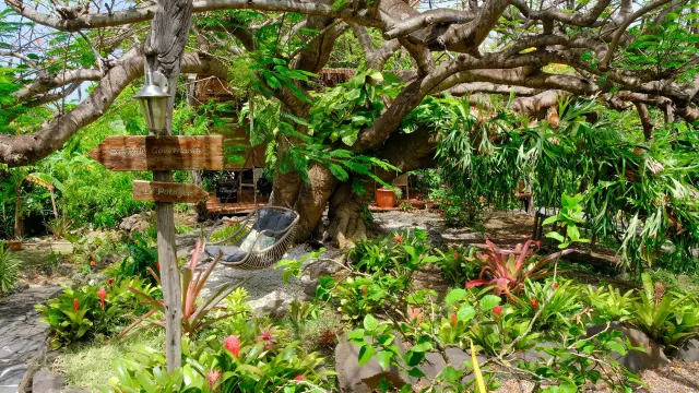 Jardin Domaine des Bulles Vauclin Martinique