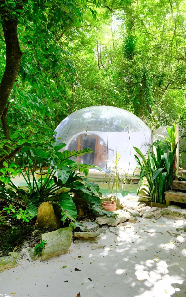 Bulle Robinson Domaine des Bulles Vauclin Martinique