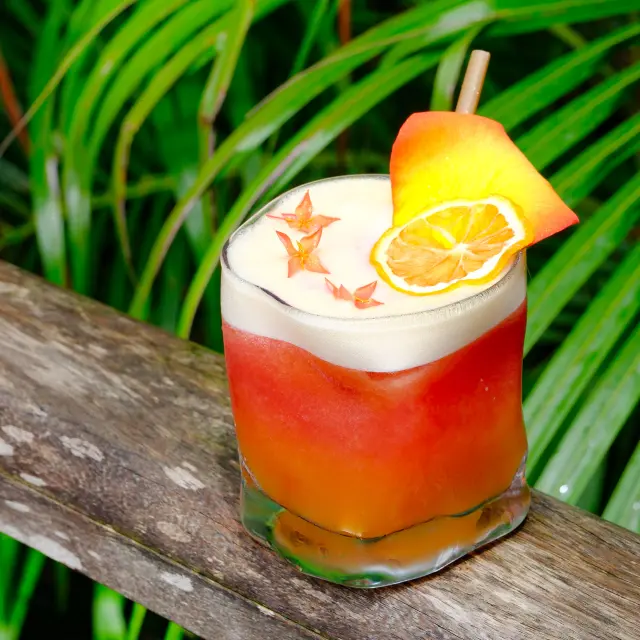 Cocktail restaurant Les Terrasses d'Ariel Sainte-Luce Martinique