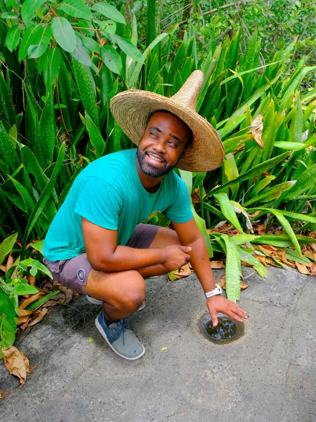 Petit îlet Le Mantou Trois-îlets Martinique