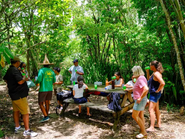 Le Mantou Trois-îlets Martinique