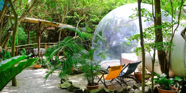 Bulle d'eau Domaine des Bulles Vauclin Martinique