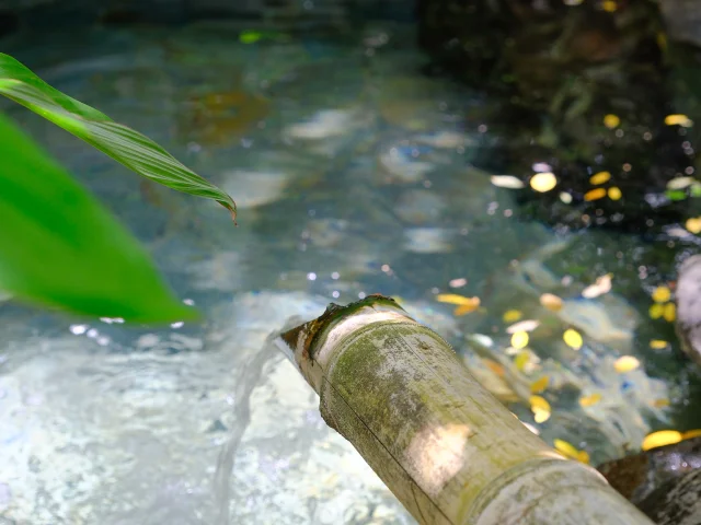 Bulle d'eau Domaine des Bulles Vauclin Martinique