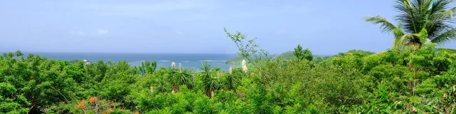 Domaine des Bulles Baie du Vauclin Martinique