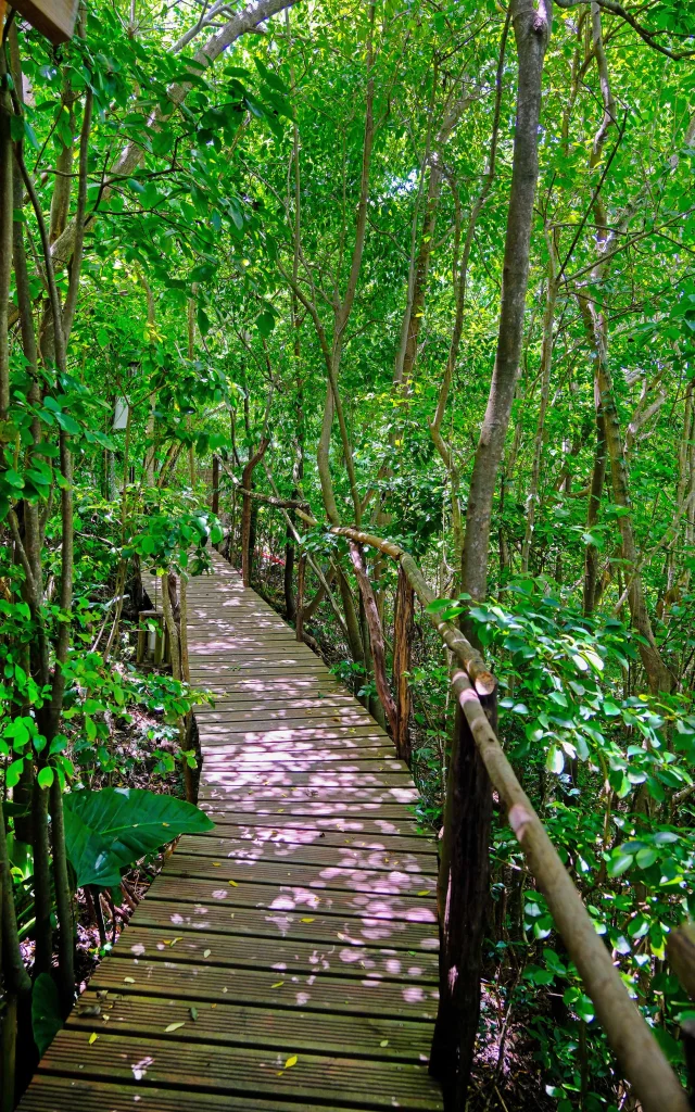 Jardin Domaine des Bulles Vauclin Martinique