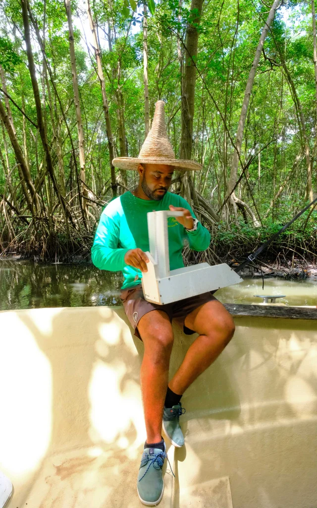 Mangrove Crabiere Lemantou Troisilets Martinique