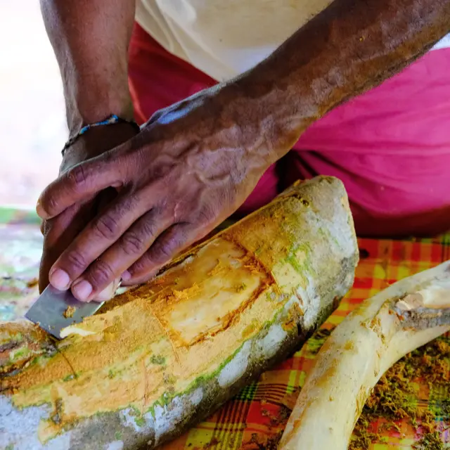 Atelier cannelle Lakoua Gros-Morne Martinique