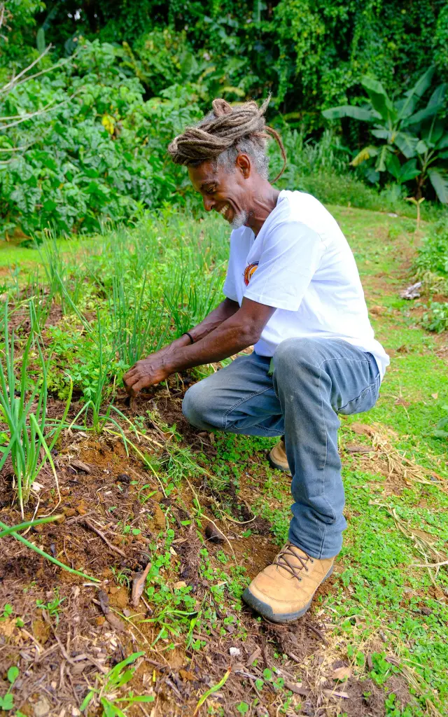 Atelier jardin créole : découverte des plantes médicinales et épices à Lakoua.