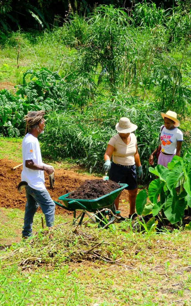 Atelier jardin créole : découverte de la culture à Lakoua.