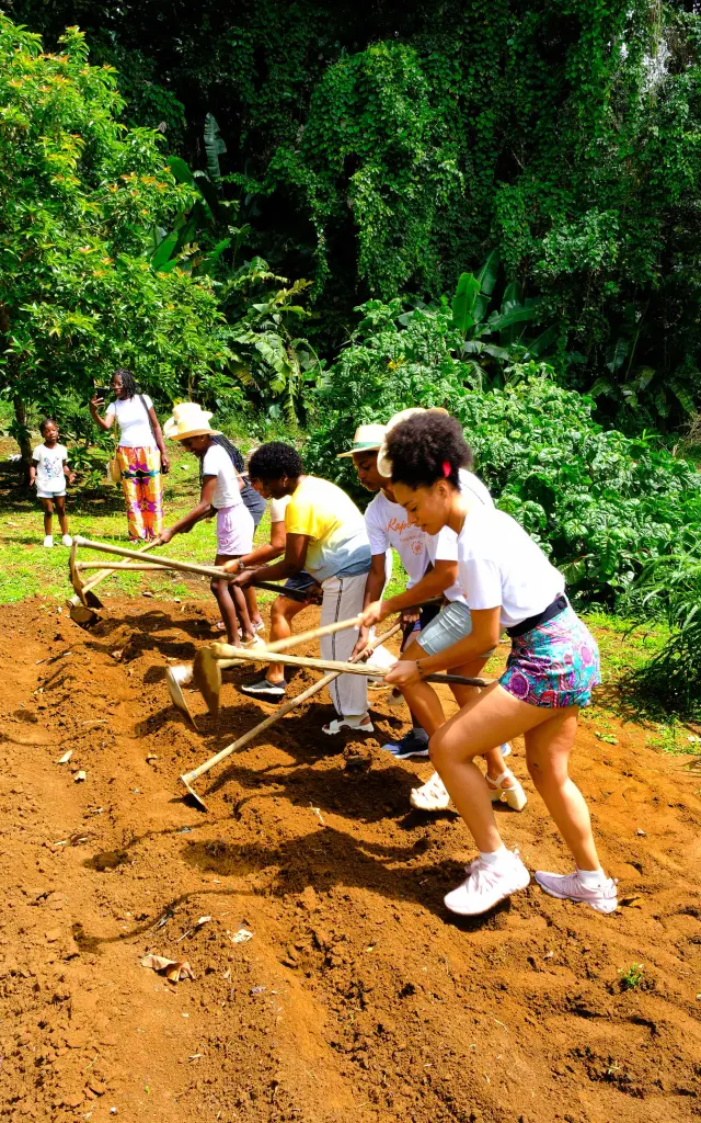 Atelier Lafouyété : labour de la terre au rythme du tambour bèlè à Lakoua.