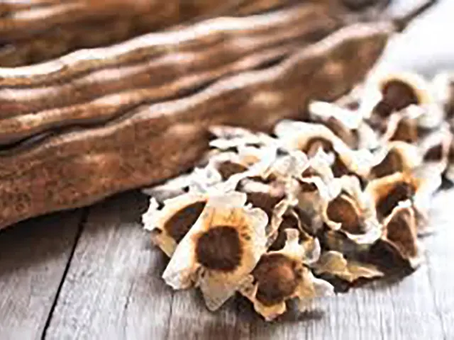 Moringa Cosse Martinique