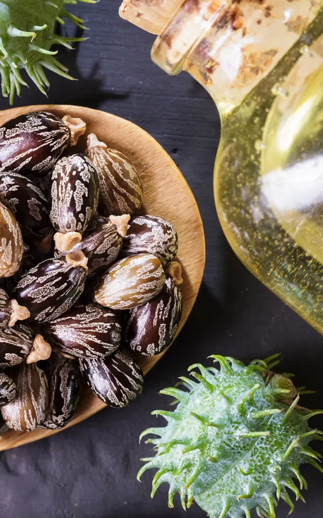 Ricin Fleur Martinique