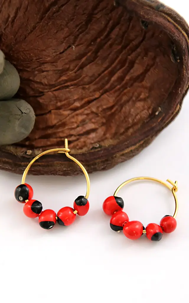 Liane réglisse Graine Bijoux Martinique