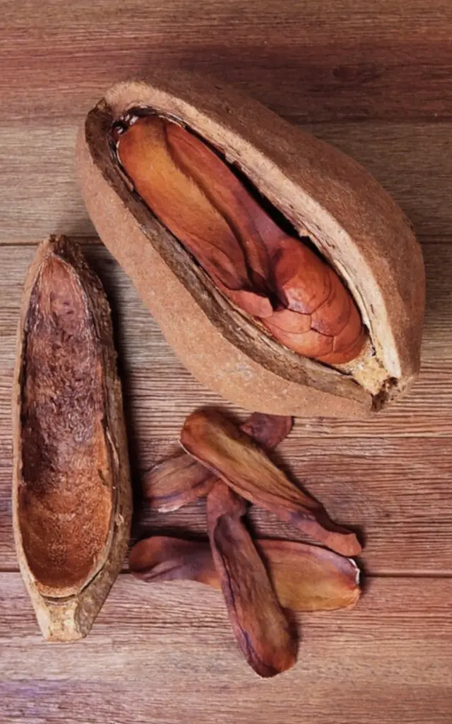 Mahogany Arbre Martinique