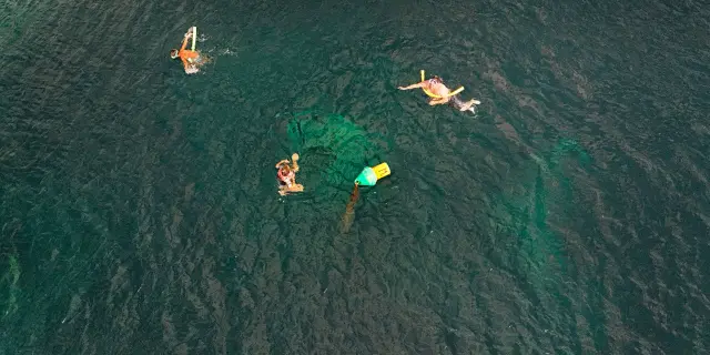 Manman d'lo Saint-Pierre Martinique