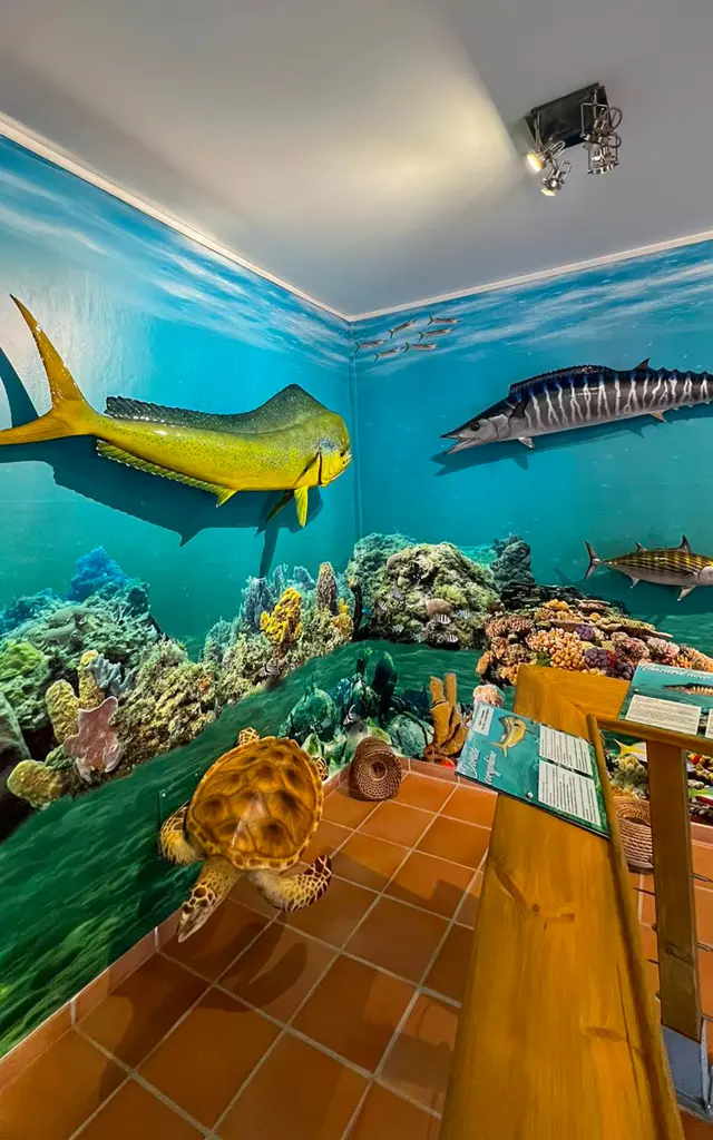 Musée de la mer Village de la Poterie Trois-îlets Martinique