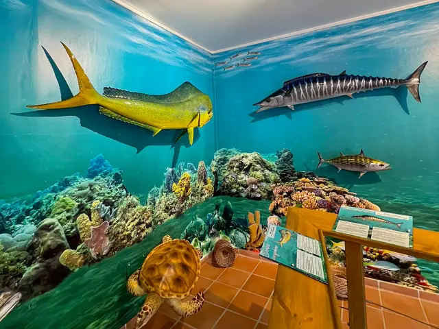 Musée de la mer Village de la Poterie Trois-îlets Martinique