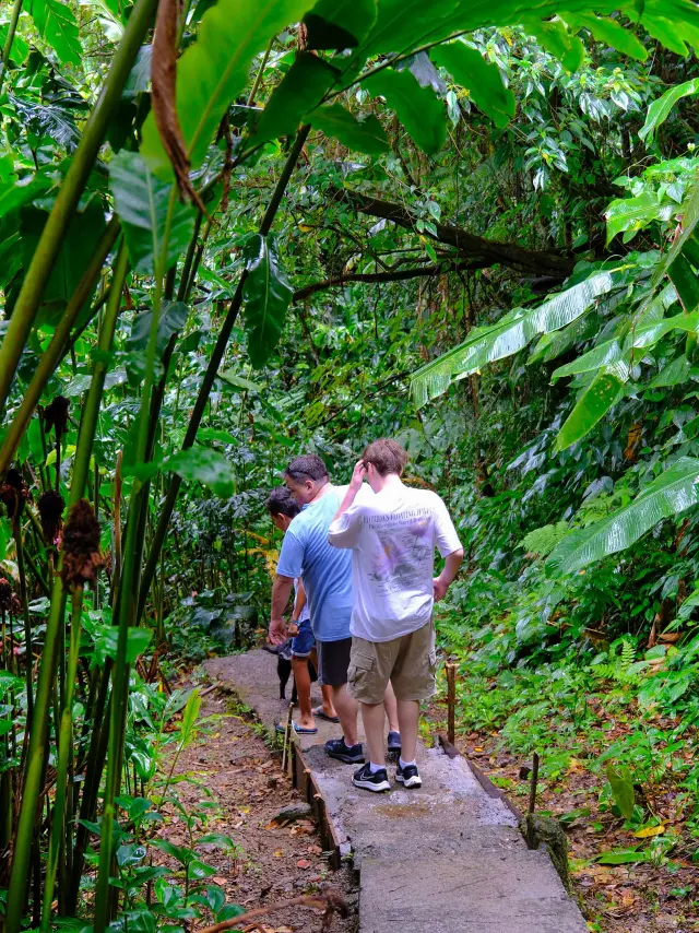 Visite de jardin An nou chapé Martinique
