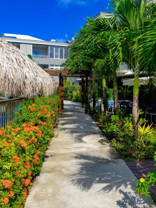 Résidence hôtelière Diamant les Bains Diamant Martinique