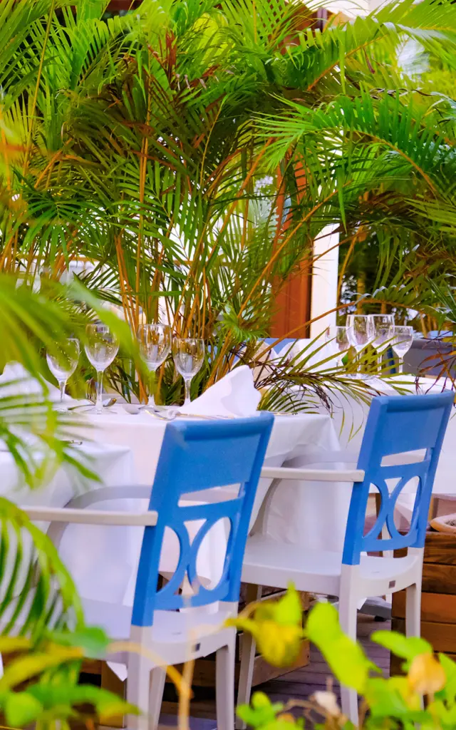 Restaurant La Terrasse Résidence hôtelière Diamant les Bains Diamant Martinique