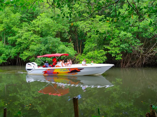 Visite de la mangrove Libodo 2 Rivière-Pilote Martinique