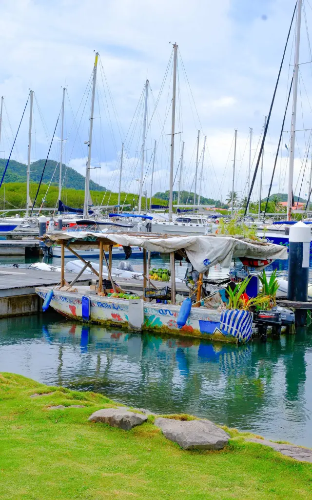 Marina Roadney bay Sainte-Lucie