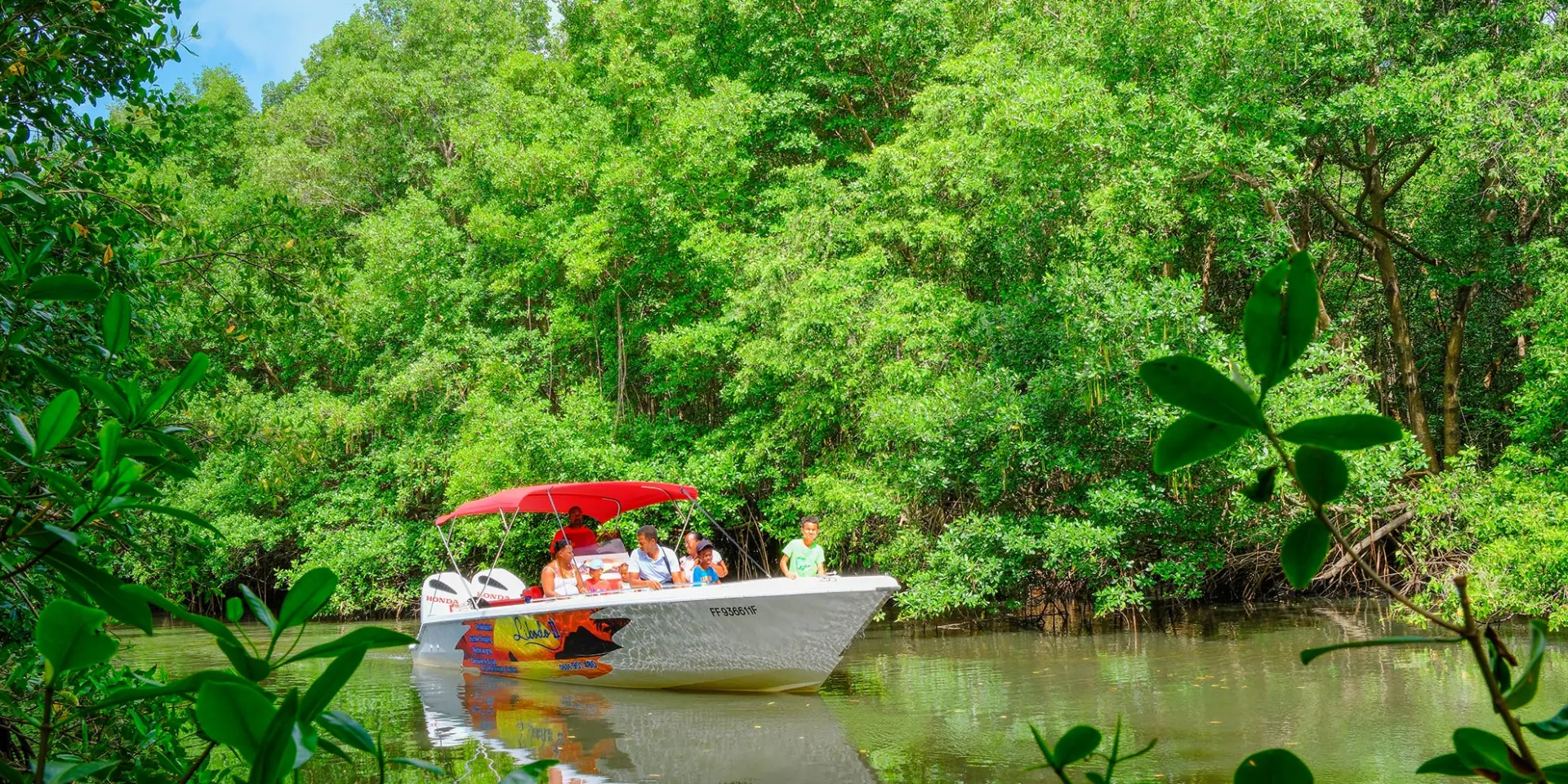Visite de la mangrove Libodo 2 Rivière-Pilote Martinique