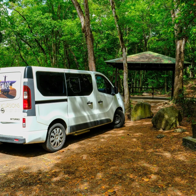 Excursion en van An Nou Chapé Forêt vatable Trois-îlets Martinique