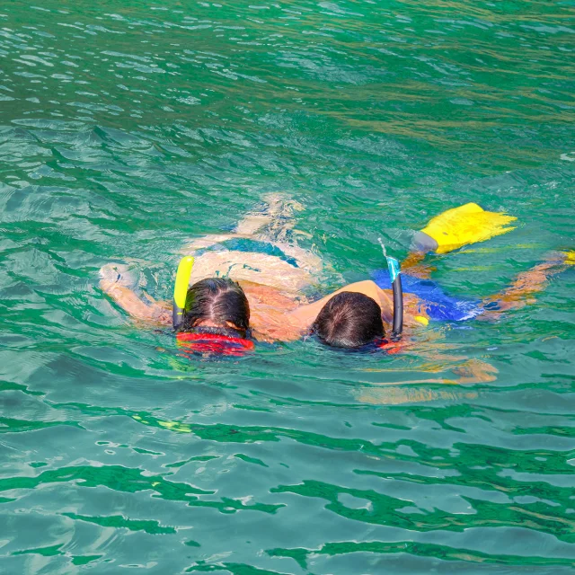 Snorkeling Aliotis Lesansesdarlet Martinique