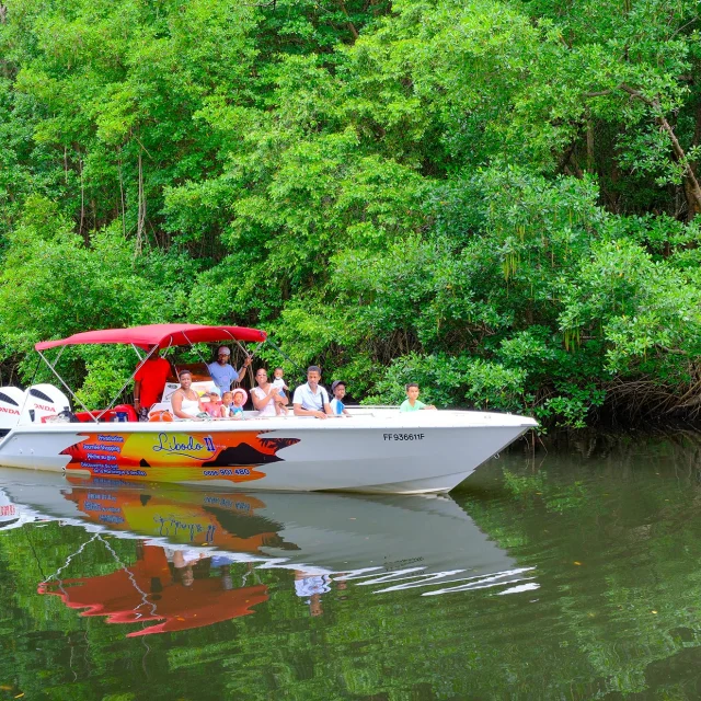 Visite de la mangrove Libodo 2 Rivière-Pilote Martinique