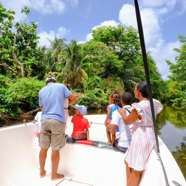Visite de la mangrove Libodo 2 Rivière-Pilote Martinique