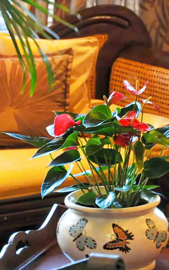 Hôtel l'Impératrice *** Fort-de-France Martinique