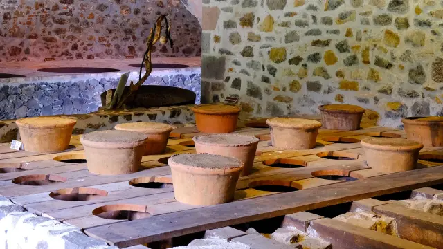 Forme à sucre Sucrerie Habitation La Salle Sainte-Marie Martinique