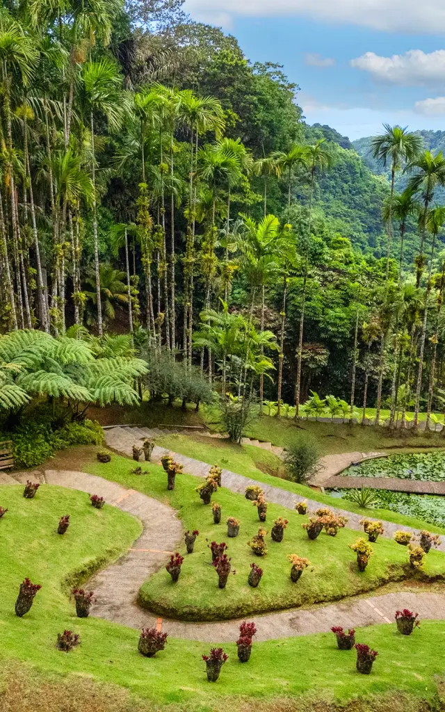 Jardin de Balata Fort-de-France Martinique