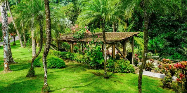 Jardin de Balata Fort-de-France Martinique