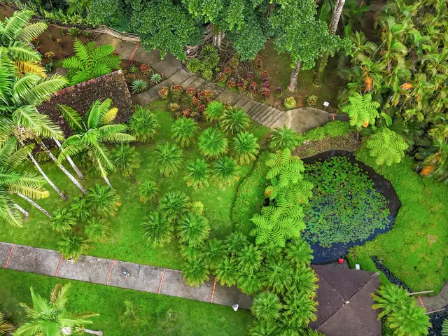 Jardin de Balata Fort-de-France Martinique
