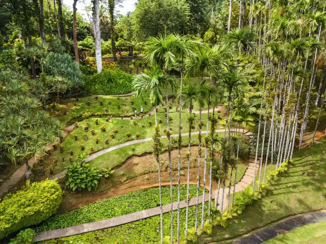 Jardin de Balata Fort-de-France Martinique