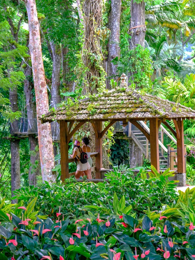 Jardindebalata46 Fortdefrance Martinique