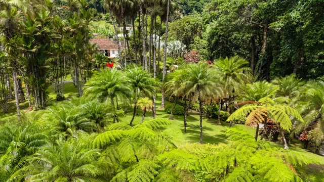Entrée du Jardin de Balata Fort-de-France Martinique maison créole et végétation tropicale