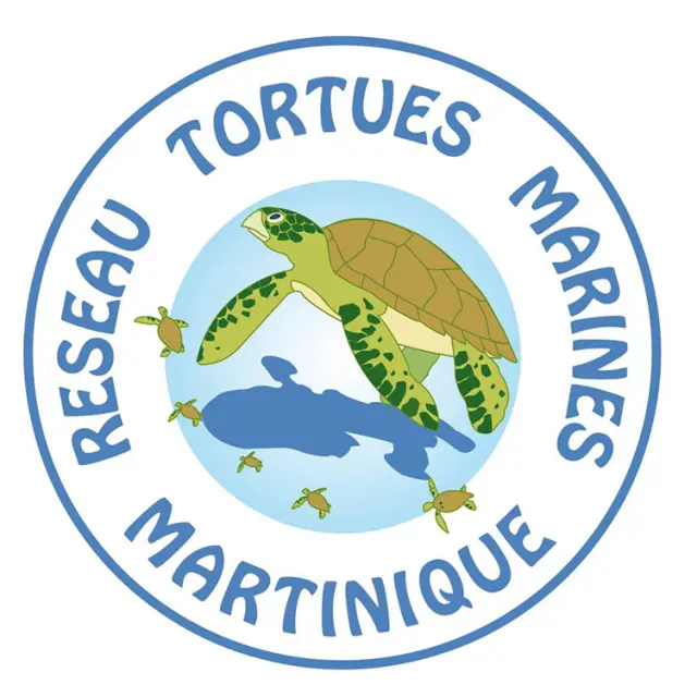 Logo Réseau Tortues Marines de Martinique