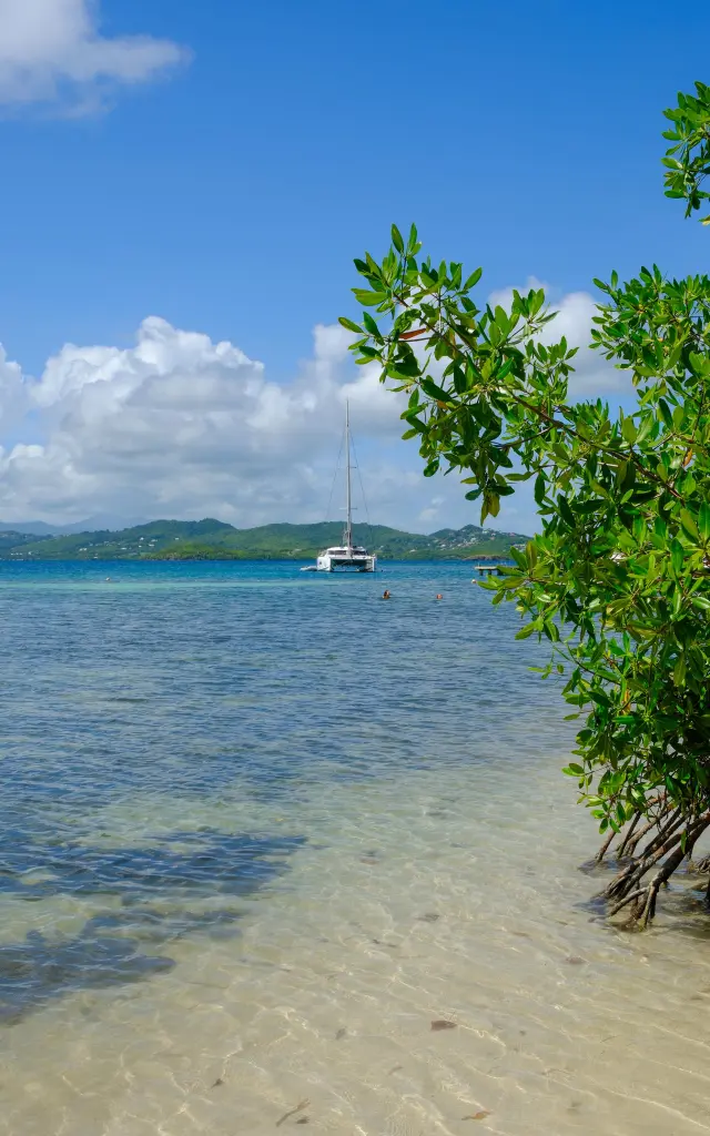 Plage Ilet Madame Robert Martinique