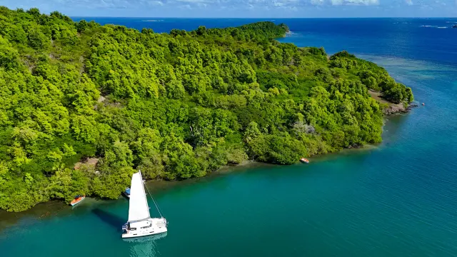 Ilet Chancel du Robert Catamaran de Capitaine Roro Martinique