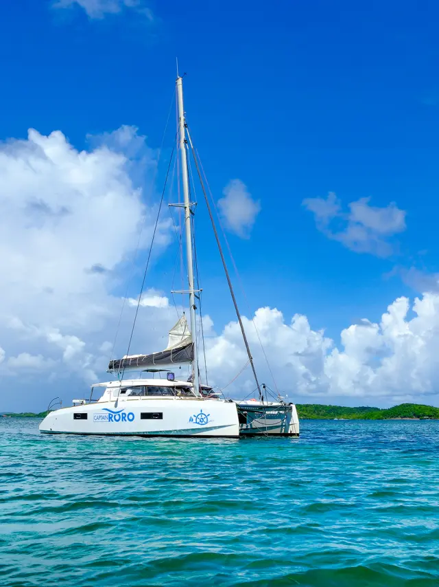 Catamaran Capitaine Roro François Martinique