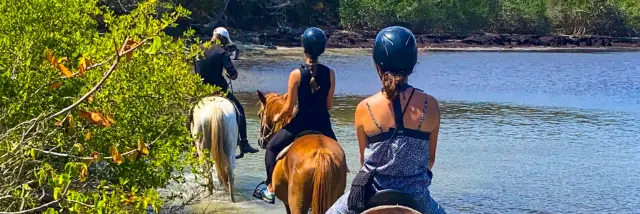Balade à cheval Ranch Anse Macabou Vauclin Martinique