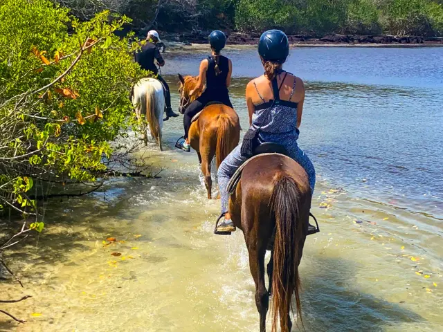 Balade à cheval Ranch Anse Macabou Vauclin Martinique