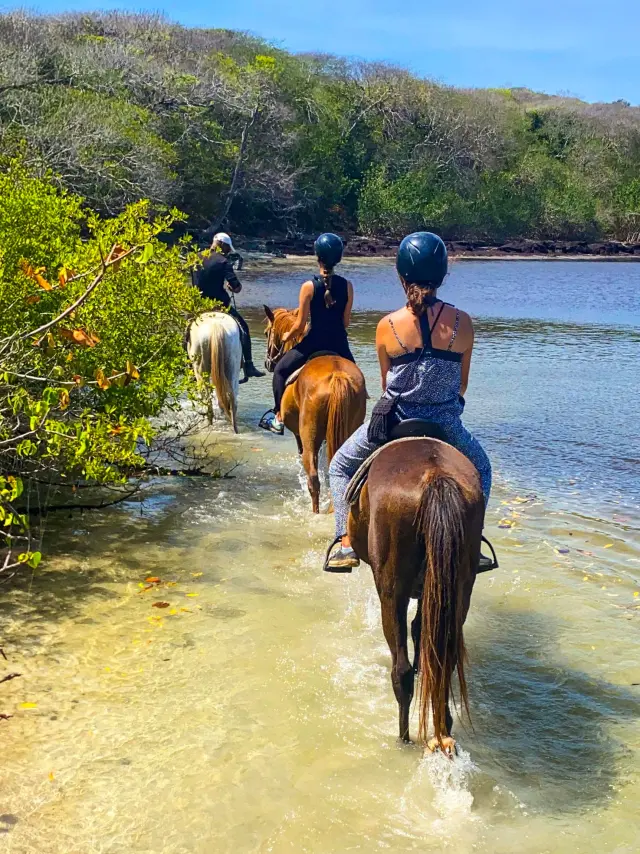 Balade à cheval Ranch Anse Macabou Vauclin Martinique