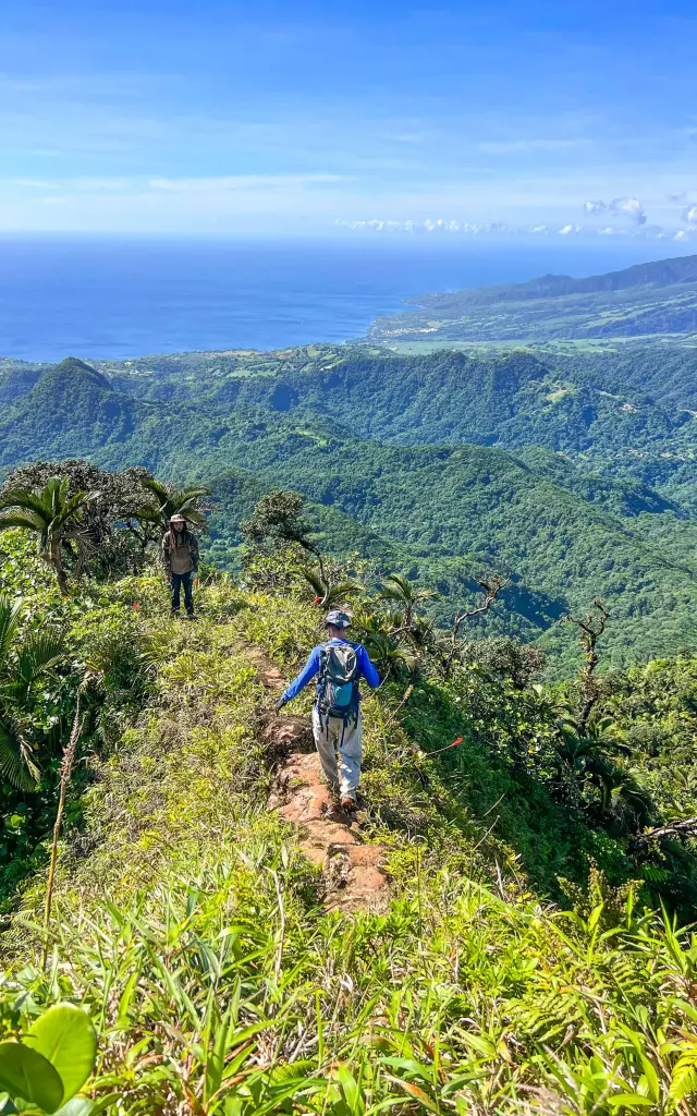 Guide de randonnée Foujè Béni Piton du Carbet Martinique