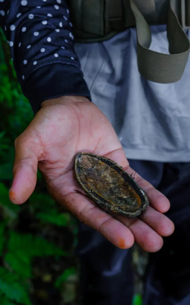 Guide de randonnée Foujè Béni Martinique