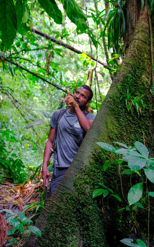 Ludovic Accompagnateur en moyenne montagne Kaïali Excursions Ajoupa-Bouillon Martinique